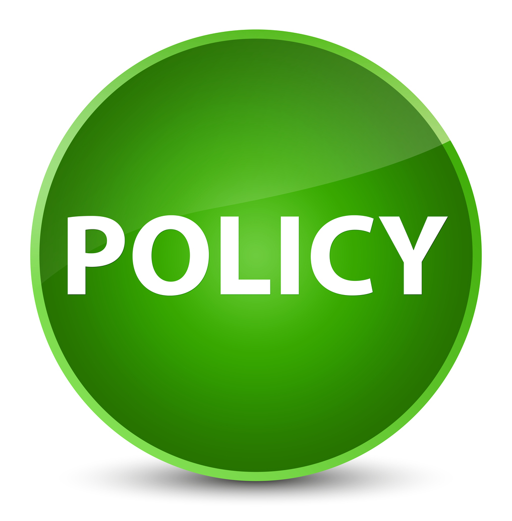 Policy isolated on elegant green round button abstract illustration