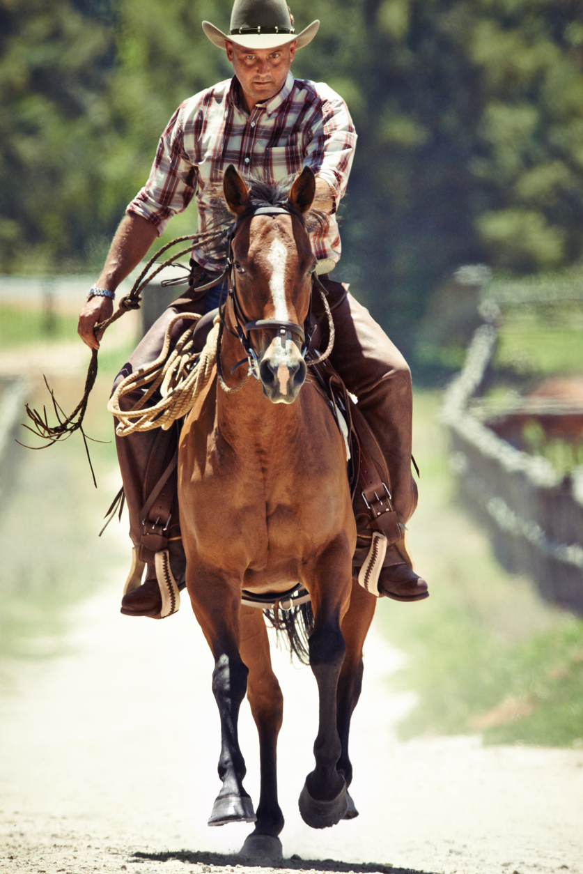 Action shot of a cowboy riding a horse