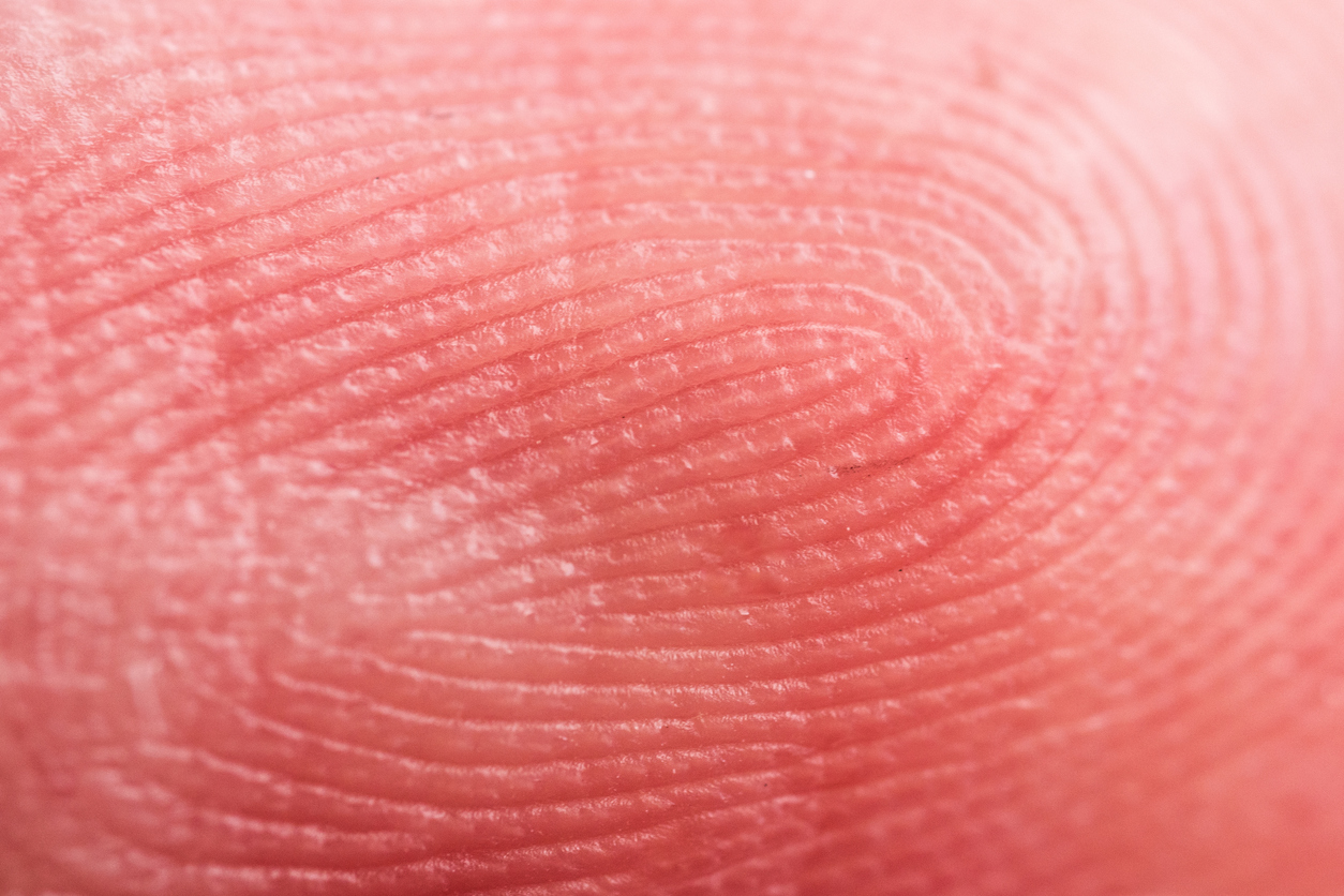 Fingerprint